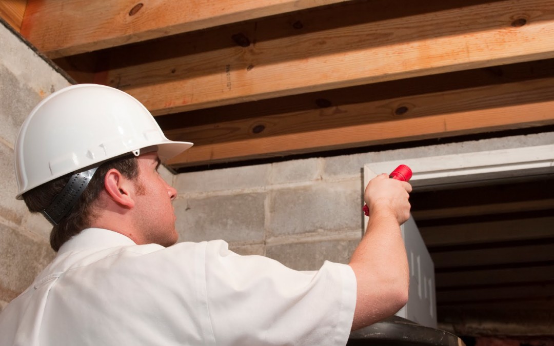 You Need To Know The Difference Between A Home Inspection & an Appraisal